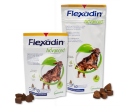 Flexadin Advanced Hund 30 und 60er Verpackungen nebeneinander