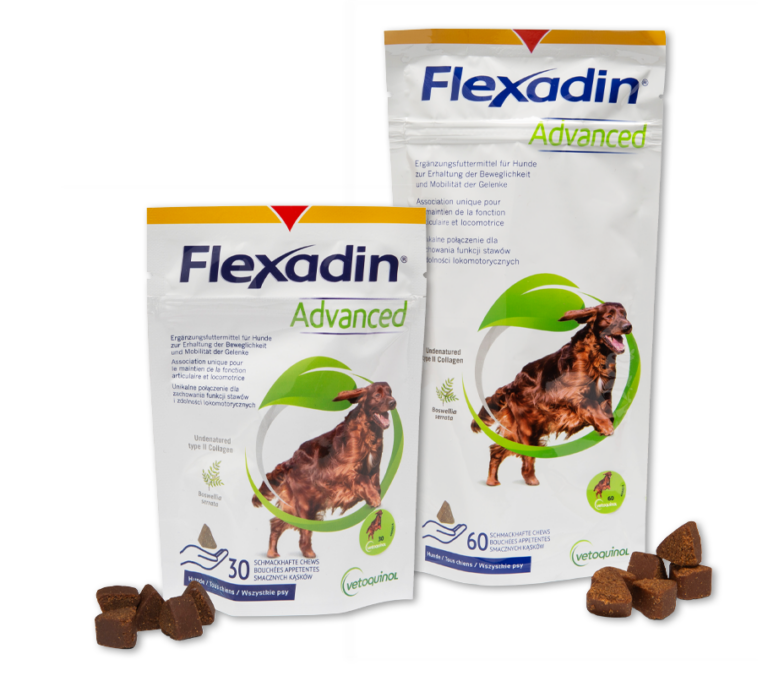 Flexadin Advanced für Hunde