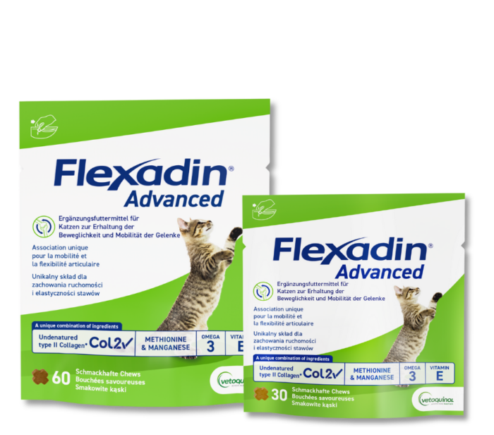 Flexadin Advanced fuer die Katze in neuer, gruener Verpackung