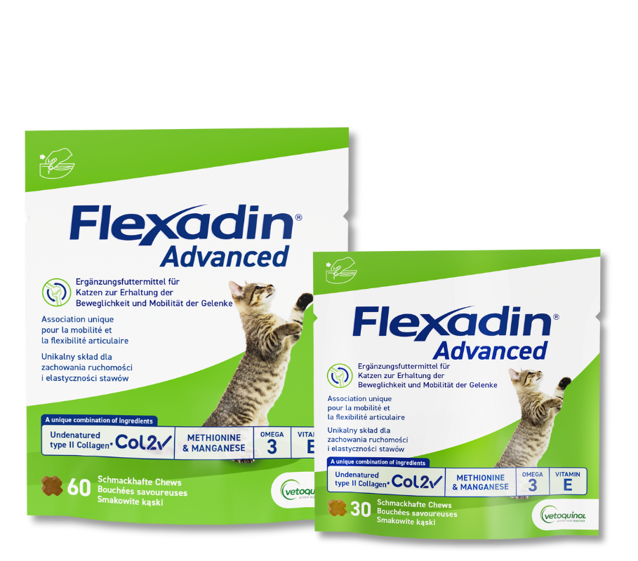 Flexadin Advanced Katze in neuer, grünerer Verpackung