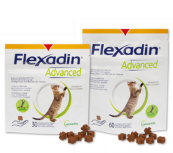 Zwei Packungen Flexadin Advanced Katze nebeneinander - 30 und 60 Stück