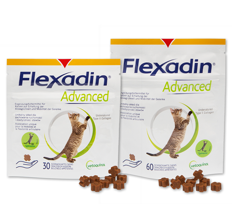 Flexadin Advanced Katze