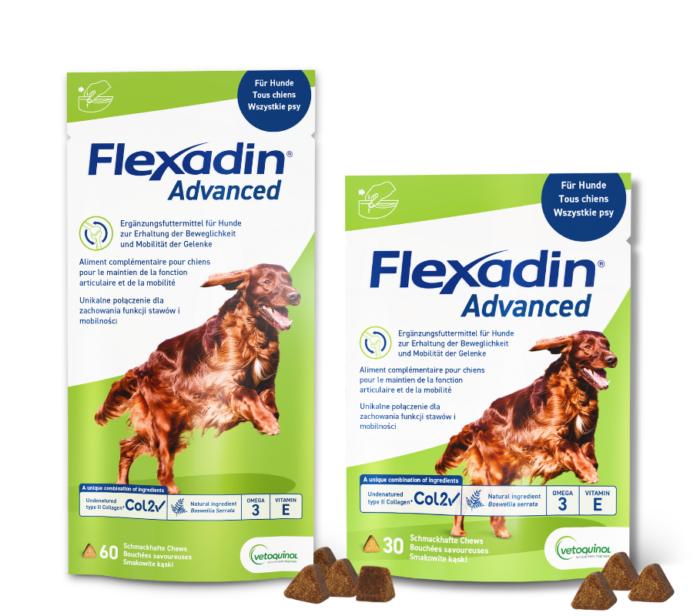 Flexadin Advanced fuer Hunde in neuer Verpackung