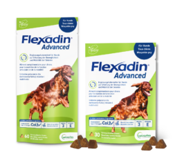 flexadin advanced fuer hunde in neuer, gruener verpackung