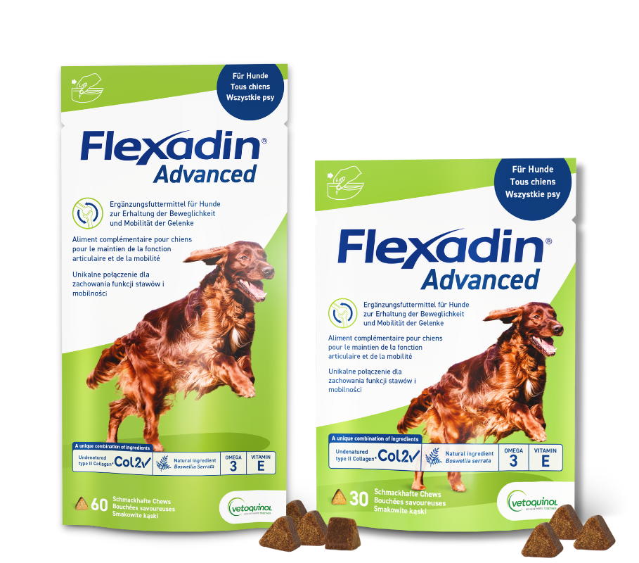 flexadin advanced fuer hunde in neuer, gruener verpackung