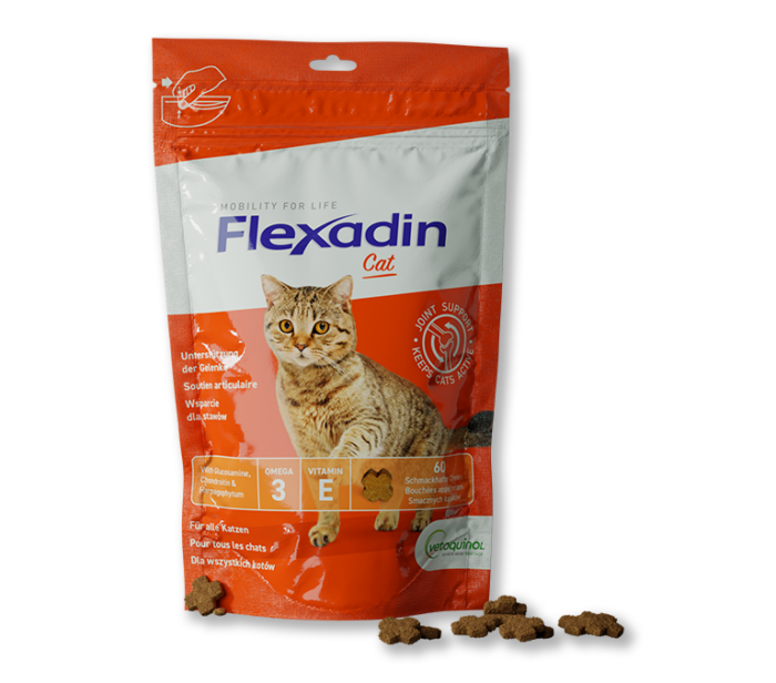 Flexadin Cat Verpackung in Rot mit ein paar Chews davor