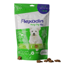 Flexadin Young Dog Mini Verpackung gruen