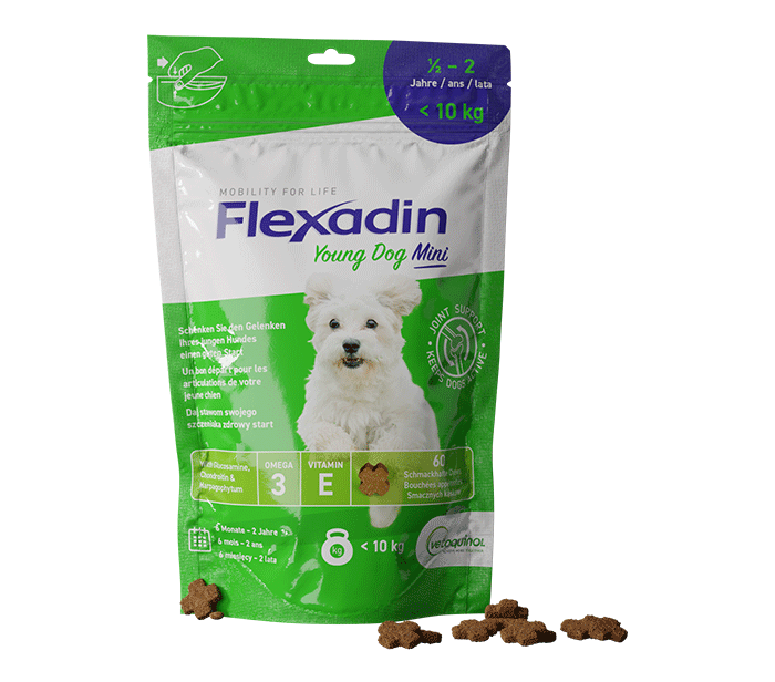 Flexadin Young Dog Mini Verpackung gruen