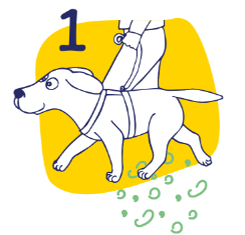 Hundesport-Übung-Nummer-1-Flexadin Grafik der 1. Übung fürs Aufwärmen beim Hundesport