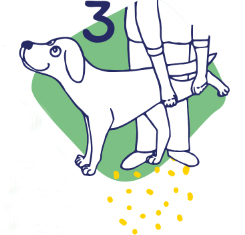 Hundesport-Übung-Nummer-3-Flexadin Flexadin Aufwärmübung Nummer 3