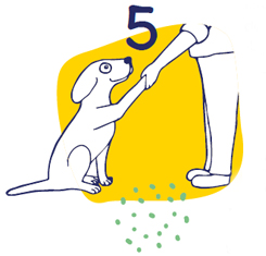 Hundesport-Übung-Nummer-5-Flexadin Aufwärmübung 5: Dehnung Schulterbeuger