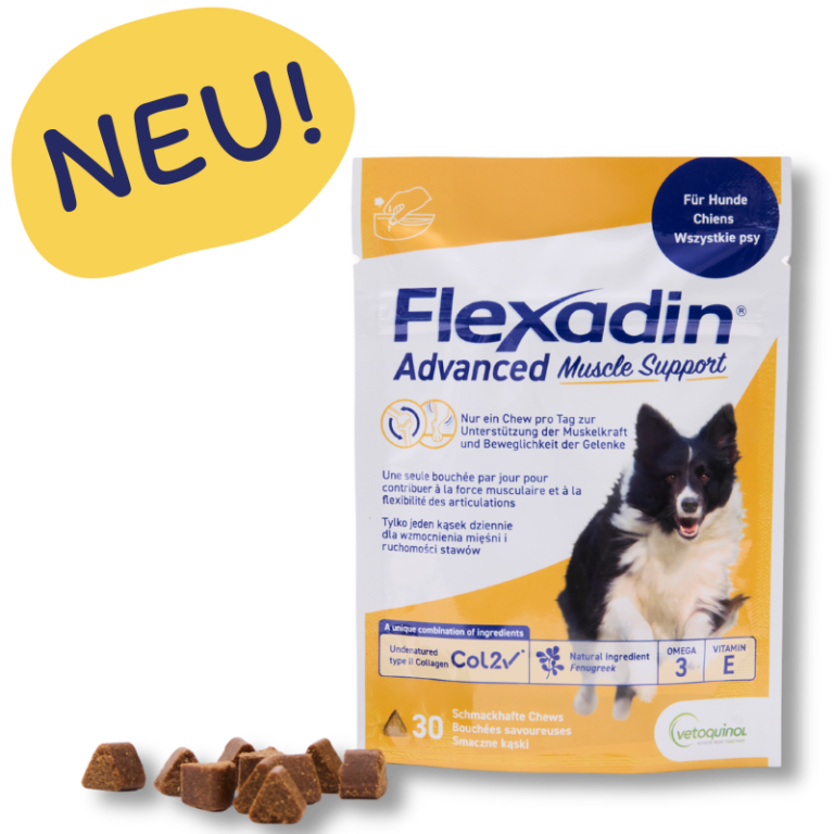 Flx Adv Muscle Support mit Banner neu