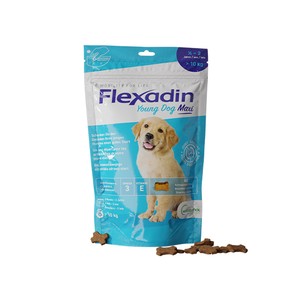 Hellblaue Verpackung von Flexadin Young Dog Maxi