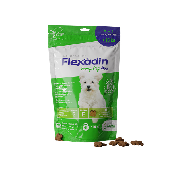 Hellgrüne Verpackung von Flexadin Young Dog Mini