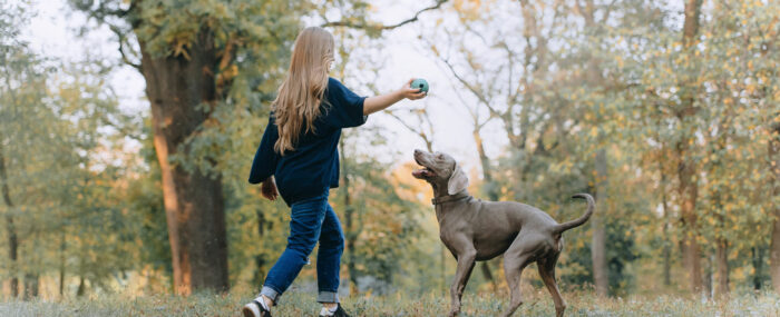 Junges Mädchen spielt im Park mit aktivem Hund