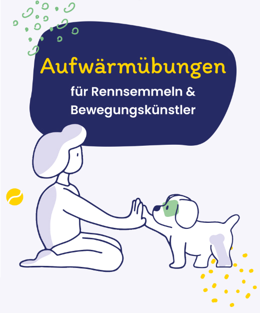 startbild-aufwarmubungen-hundesport-flexadin Aufwärmübungen Grafik Frauchen und Hund High Five